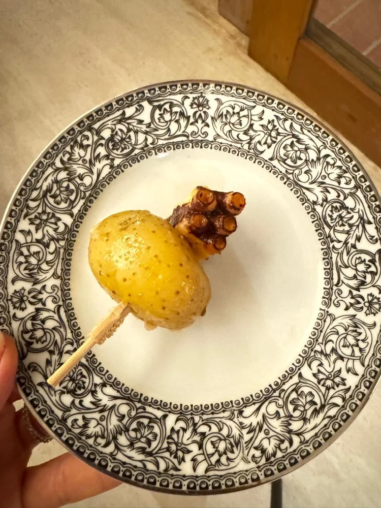 Cozinha Radiante 101