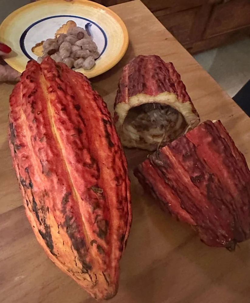 Cozinha Radiante 89