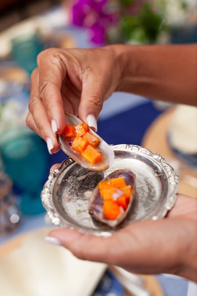 Gastronomia do Terraço Libertas 7